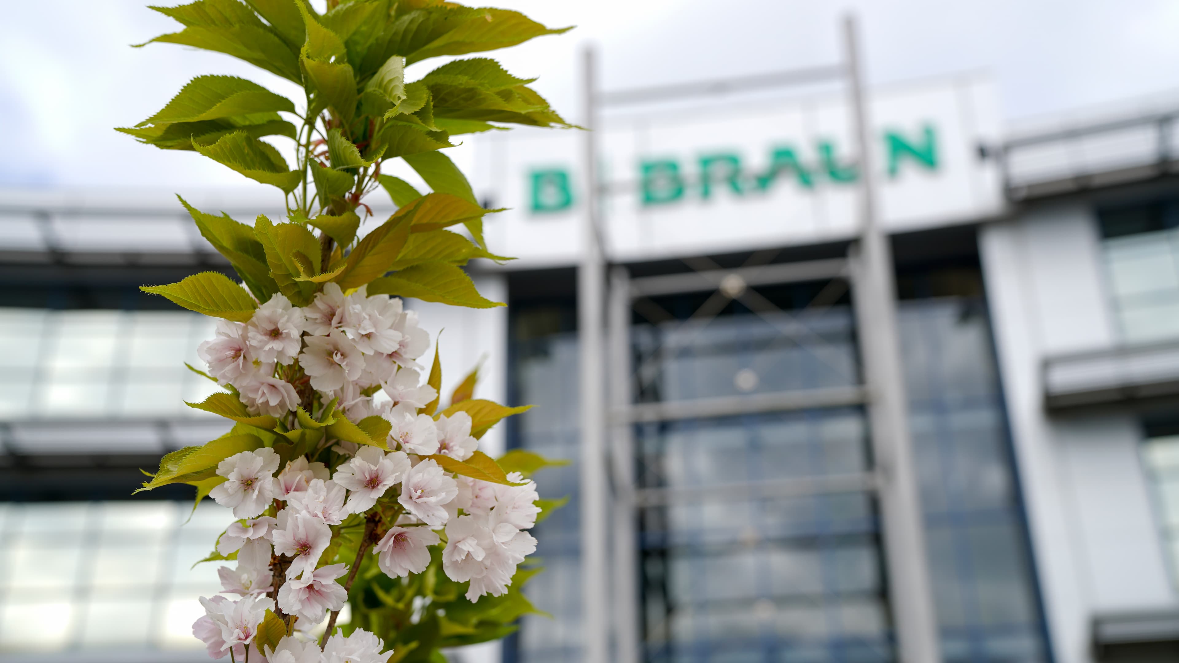 Scopri chi siamo&nbsp;ed&nbsp;entra nel mondo di B. Braun in Italia: 4 sedi, 4 aziende, più di 700 dipendenti e un Centro di&nbsp; Eccellenza a livello globale.